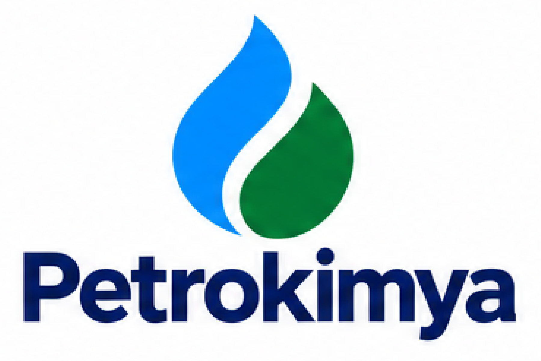 Petrokimya
